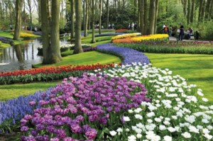 Keukenhof