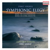 Symphonic Elegy